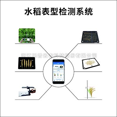 水稻表型检测系统 水稻表型检测系统