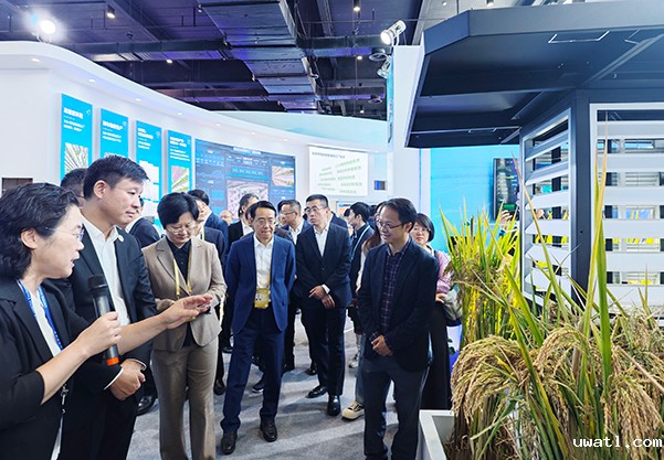 1699606491499693.jpg SEO用图6.jpg