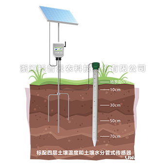 土壤剖面水分测定仪