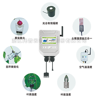 //www.uwatl.com/product/detail/65.html //www.uwatl.com/product/detail/65.html