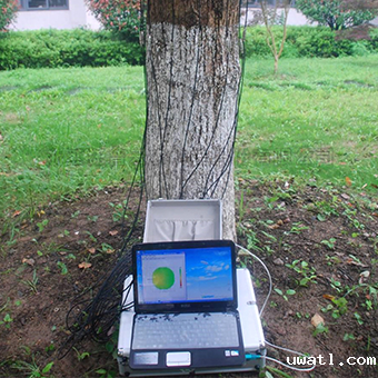 树木无损检测探伤仪 树木无损检测探伤仪