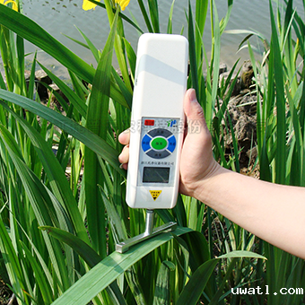 抗倒伏测定仪 抗倒伏测定仪