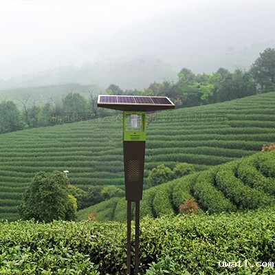茶园太阳能杀虫灯 茶园太阳能杀虫灯