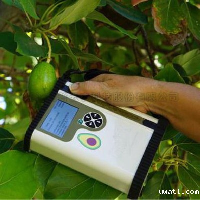 鳄梨品质无损测量仪TPF-751-Avo