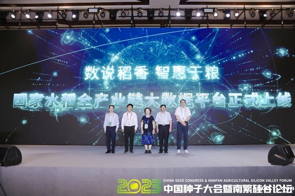 如何走稳中国“稻”路？科技赋能水稻全产业链发展