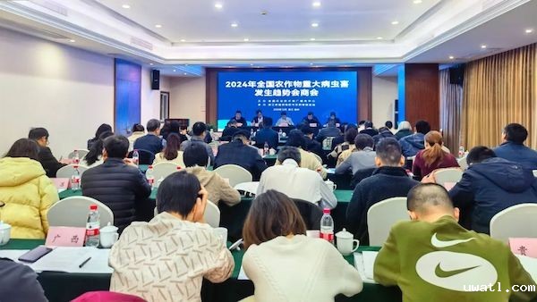 全国农作物重大病虫害发生趋势会商会召开，点点电脑为数字植保发展提供新思路