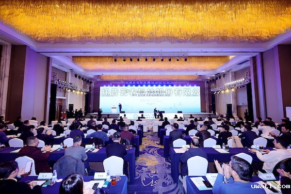 中国茶产业联盟第一届第六次理事会议召开，点点电脑数字赋能茶产业高质量发展