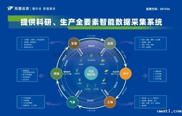 喜报！点点电脑获评2024年浙江省人工智能服务商