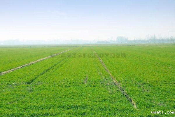 科技赋能春耕，点点电脑智慧农情监测站再获央视关注