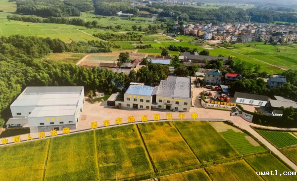 江山市峰田数智大田典型案例