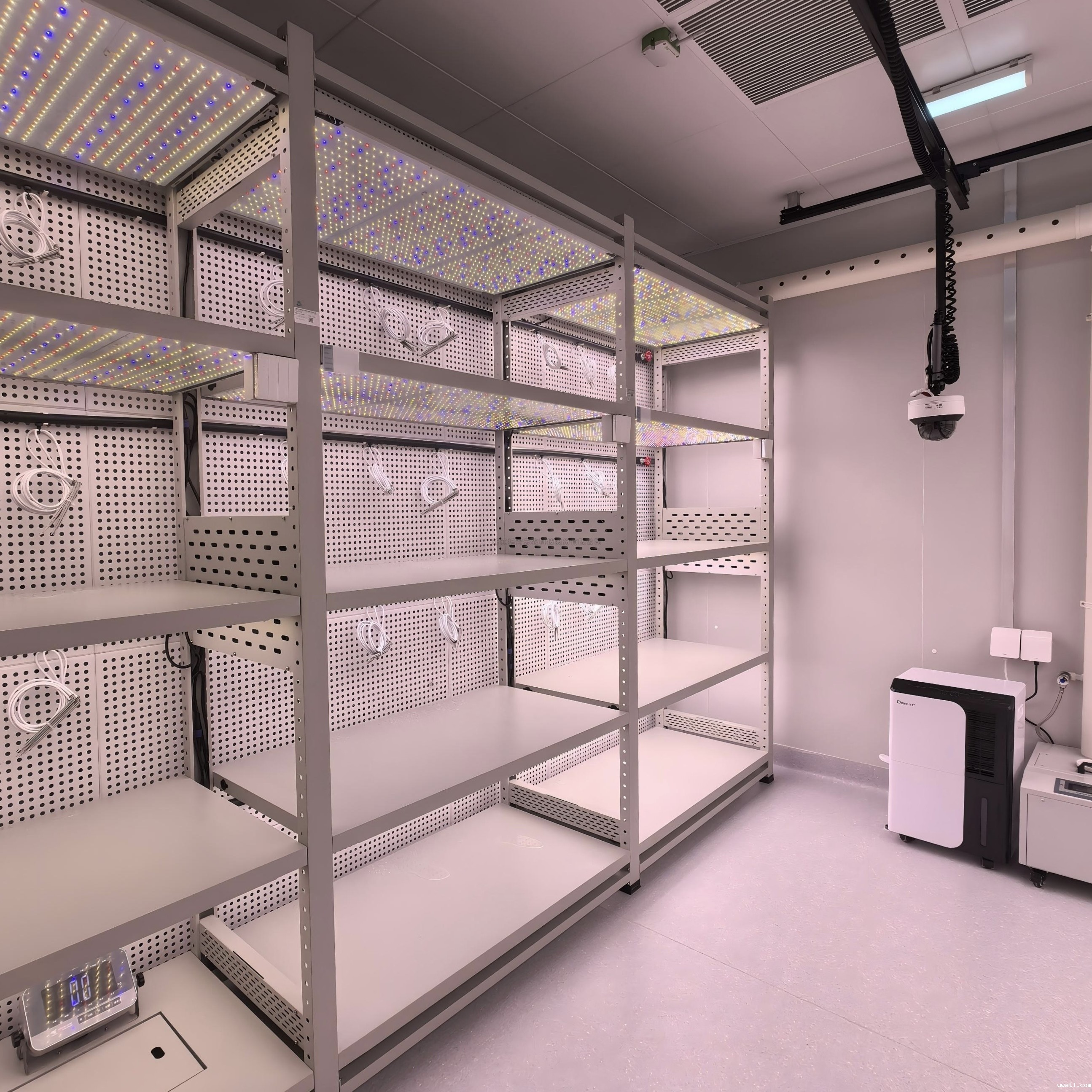 人工气候室植物表型监测系统