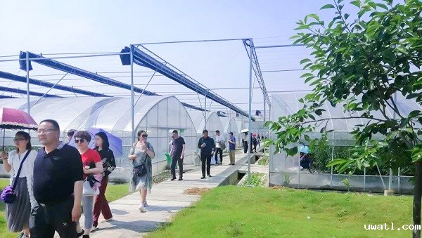 培训班顶着酷暑考察萧山区农科所临浦基地 培训班顶着酷暑考察萧山区农科所临浦基地