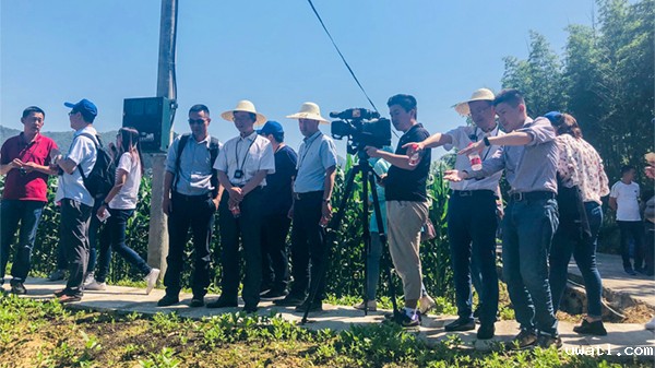培训班现场观摩耕地质量监测点 培训班现场观摩耕地质量监测点