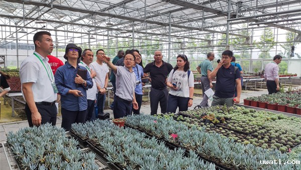 多个国家农业领导与专家在观摩研讨