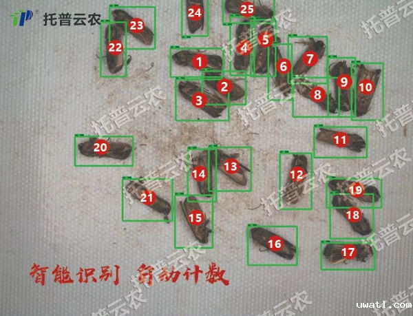 识别计数 识别计数