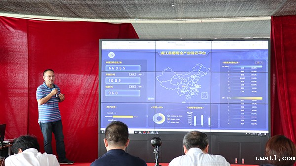 浙江森特浦江县葡萄全产业链云平台展示 浙江森特浦江县葡萄全产业链云平台展示