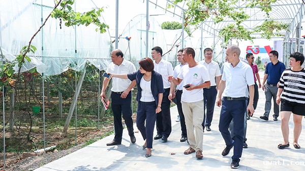 参观大棚智能控制系统 参观大棚智能控制系统