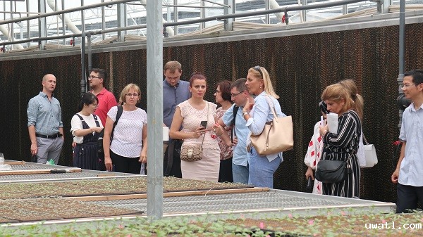 研修班一行来到由点点电脑与萧山农科所联合搭建的现代农业产业园进行考察 研修班一行来到由点点电脑与萧山农科所联合搭建的现代农业产业园进行考察