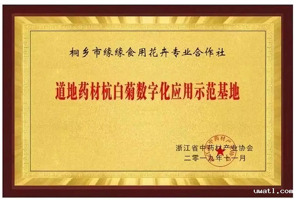 道地药材杭白菊数字化应用示范基地 道地药材杭白菊数字化应用示范基地