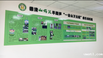 早园笋产供销一体化项目简介 早园笋产供销一体化项目简介