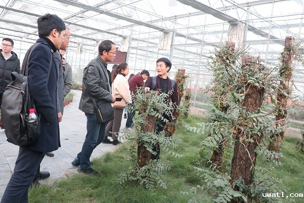 培训班参观点点电脑临浦基地 培训班参观点点电脑临浦基地