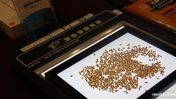 AI图形识别技术推动改变育种科研传统工作方式 AI图形识别技术推动改变育种科研传统工作方式