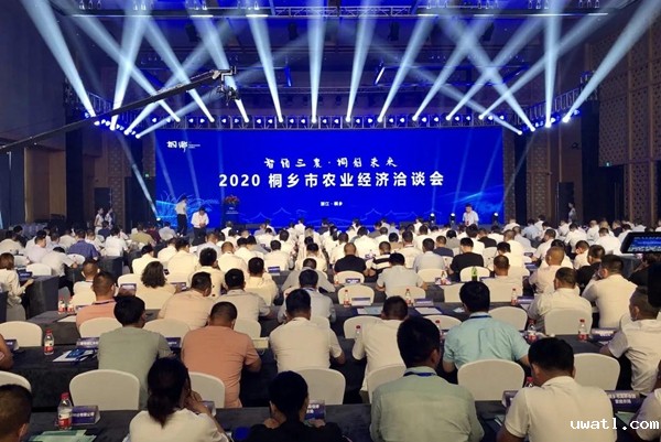 打造数字三农新模式,点点电脑与桐乡市人民政府签订战略合作协议