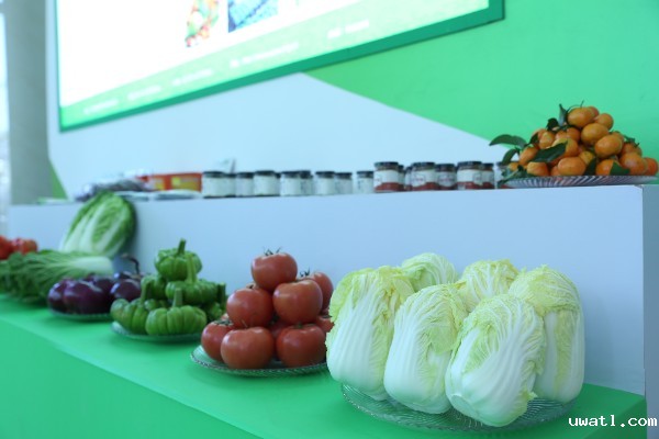 推介会现场 推介会现场