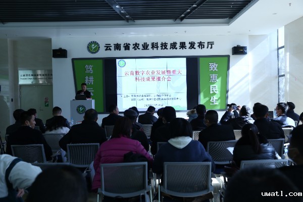 推介会现场 推介会现场