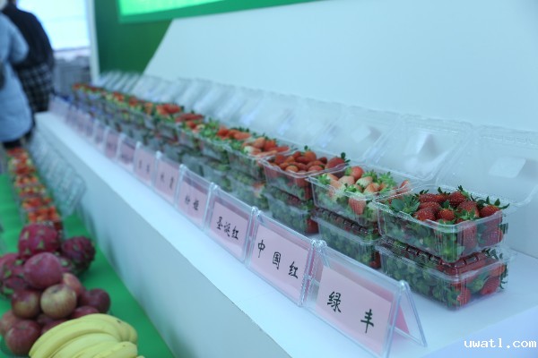 推介会现场 推介会现场