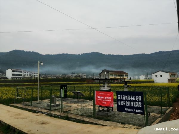 点点电脑病虫害监测点 点点电脑病虫害监测点