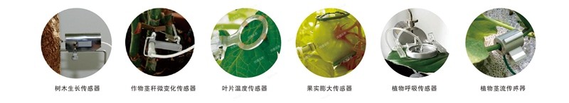 1641798474993674.jpg 水肥一体化设备植物本体传感器_副本_副本.jpg