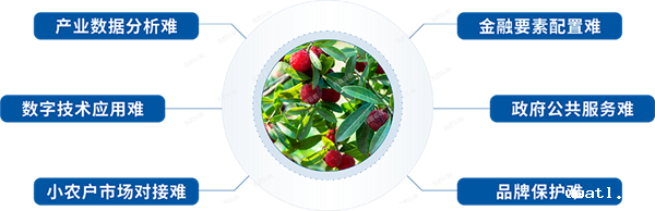 1650951687632170.png 1.png