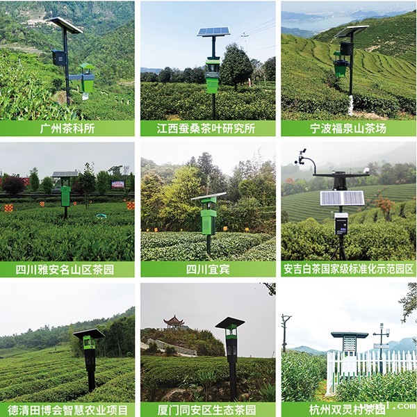 点点电脑茶园绿色防控技术方案应用 点点电脑茶园绿色防控技术方案应用