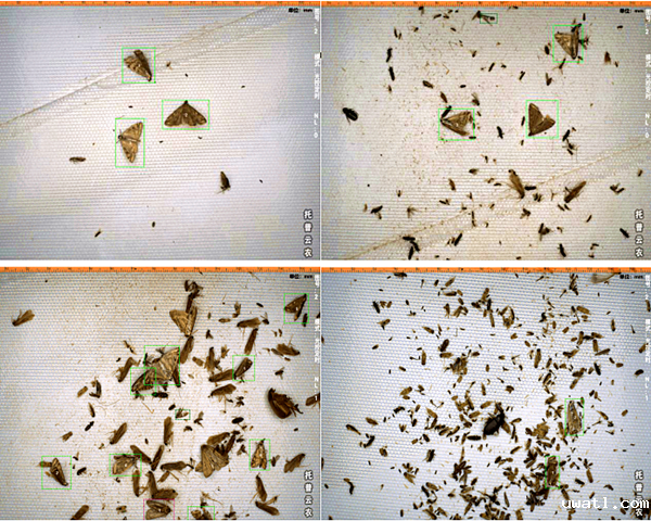 1664351351883199.png 12_副本.png