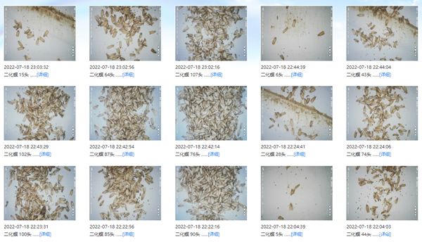 1664351446543711.png 18_副本.png