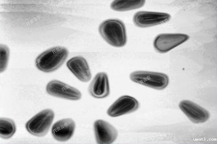 1666056505433247.jpg 1666056505433247.jpg