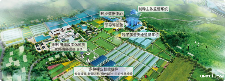 现代化种业基地 现代化种业基地