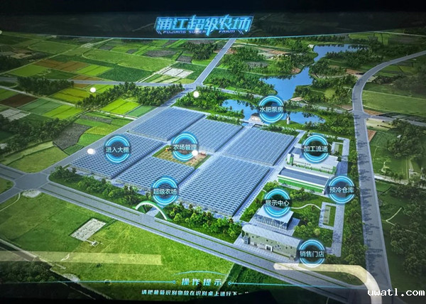 浦江“超级农场”