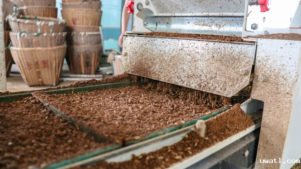 点点电脑打造的古林育秧工厂 点点电脑打造的古林育秧工厂