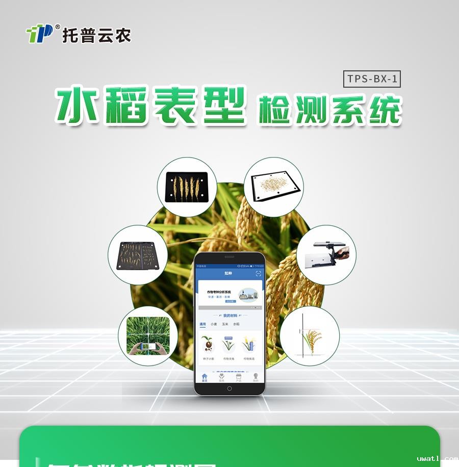 水稻表型检测系统