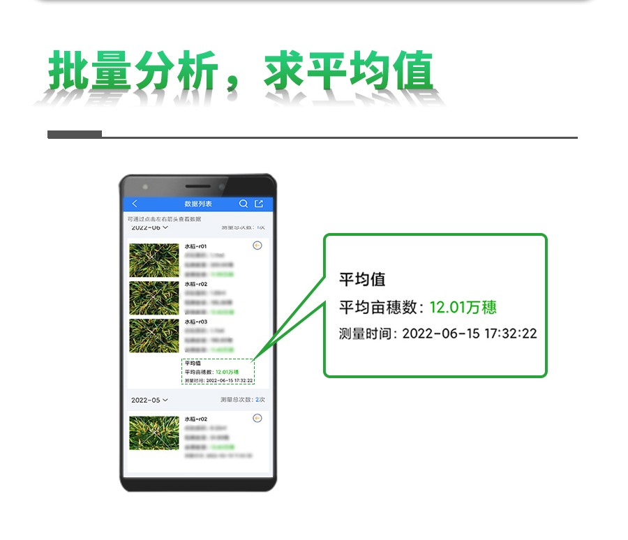 水稻亩穗数测量系统