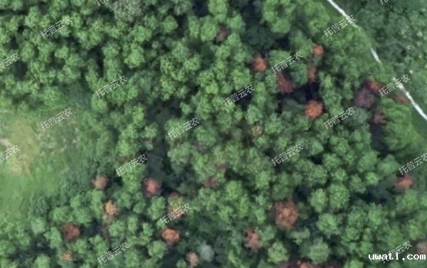 1685949532394620.jpg 3.jpg