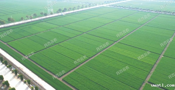 1685950177583562.jpg 3.jpg