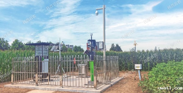 1685950254931398.jpg 5.jpg