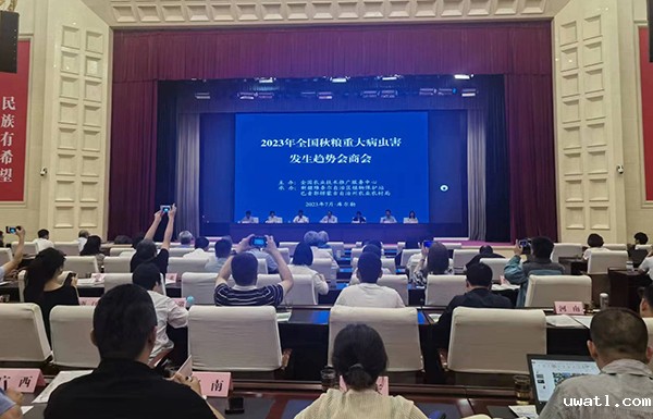 1689326754295838.jpg 1.jpg