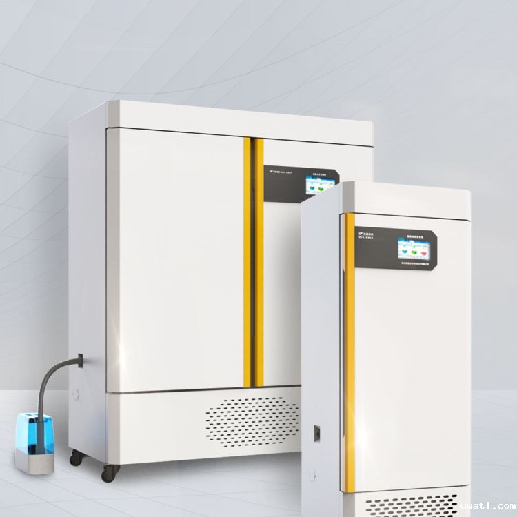 1693472266649889.jpg 3.jpg