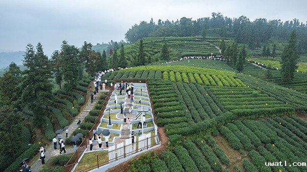 1695197184170701.jpg SEO用图4.jpg