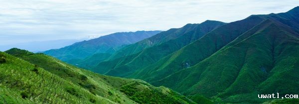 1698654290207790.jpg 1.jpg