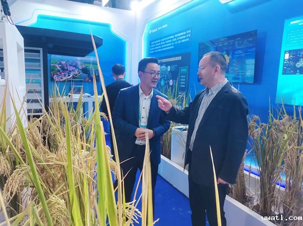 1699606661369889.jpg SEO用图8.jpg